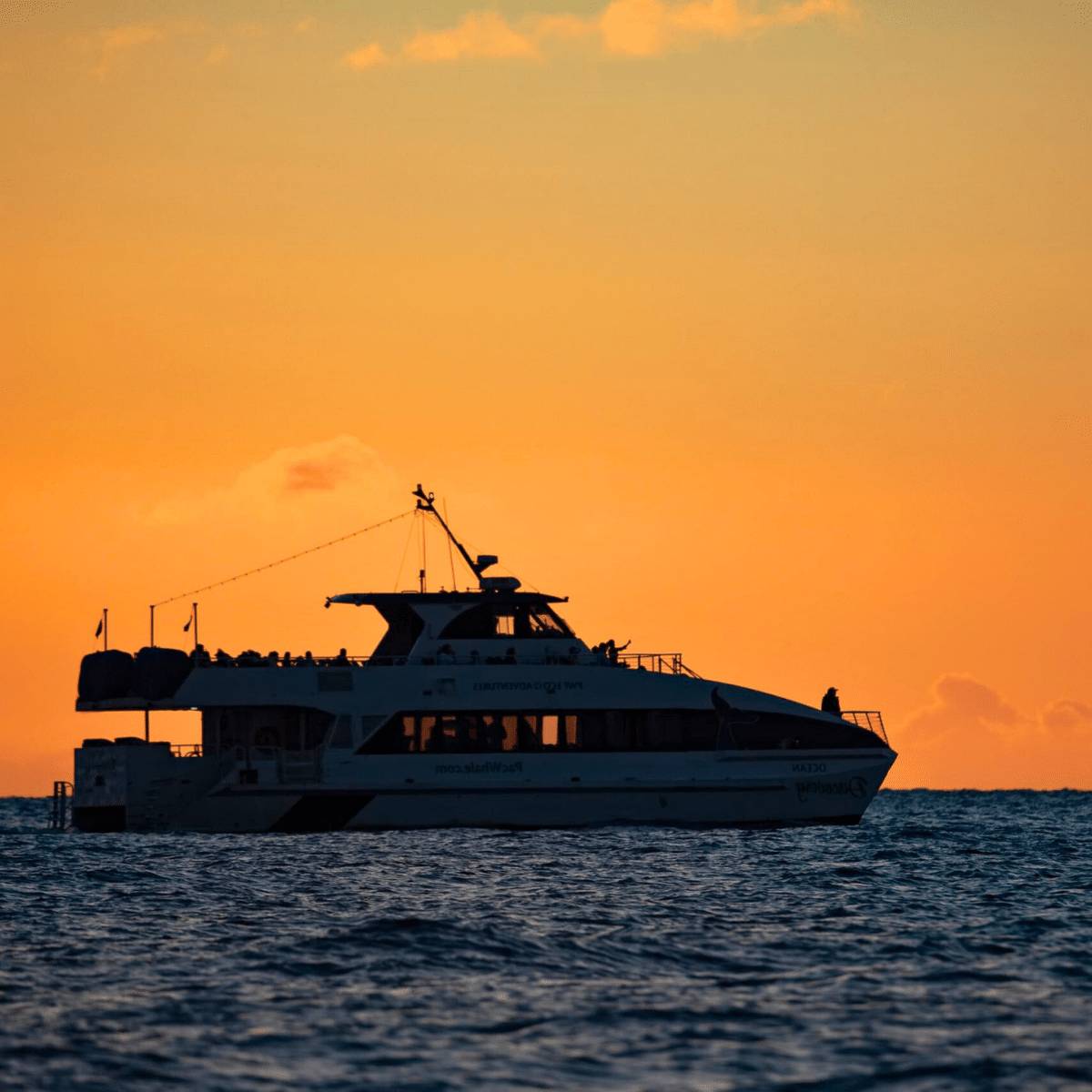Stable Catamaran for Cruising - Pacific Whale Foundation Sunset Dinner Cruise - Book Maui Activities at Auntie Snorkel