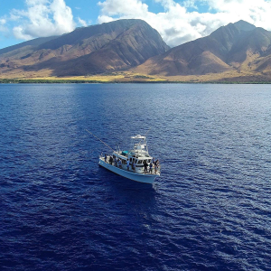 Strike Zone Fishing Vessel - Strike Zone Combo & Sport Fishing Trips - Book Maui Activities at Auntie Snorkel