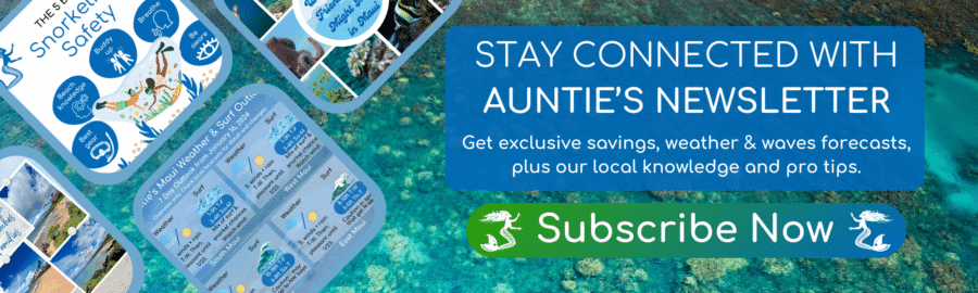 Subscribe to Aunties Newsletter