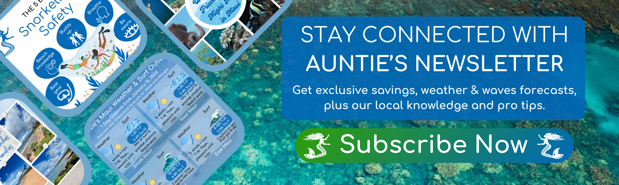 Subscribe to Aunties Newsletter