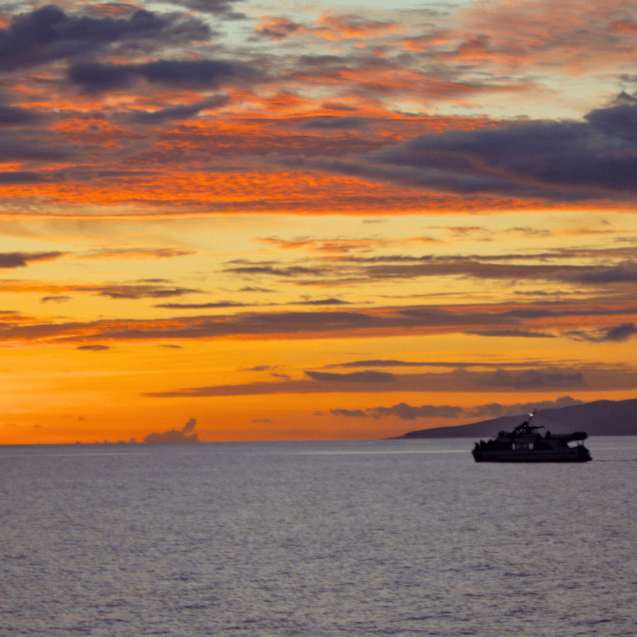 Sunset-Sky-Cruising-Pacific-Whale-Foundation-Dinner-Cruise-and-Whale-Watch-Book-Maui-Activities-with-Auntie-Snorkel