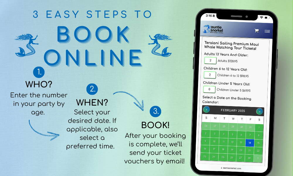 3 Steps to Book Online Teralani Whale Watch