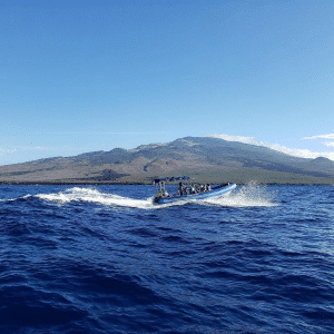 The Pineapple Express on the Water - Blue Water Rafting Molokini and Turtle Town 3 Hour Snorkel Tour - Book Maui Activities at Auntie Snorkel