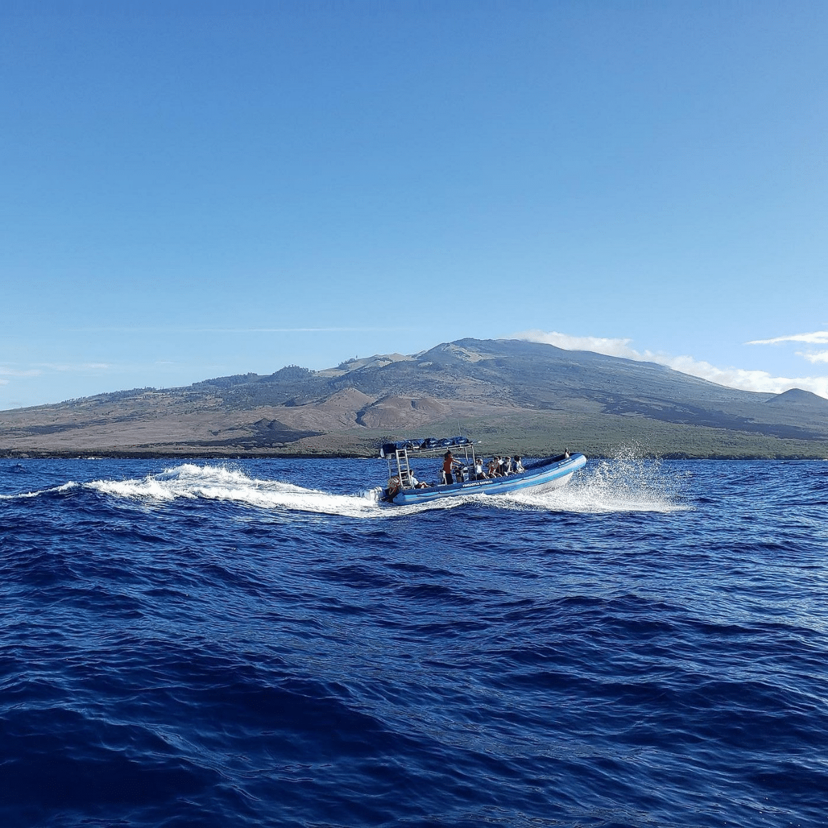 The Pineapple Express on the Water - Blue Water Rafting Molokini and Turtle Town 3 Hour Snorkel Tour - Book Maui Activities at Auntie Snorkel
