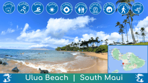 Ulua Beach Guide - Auntie Snorkel