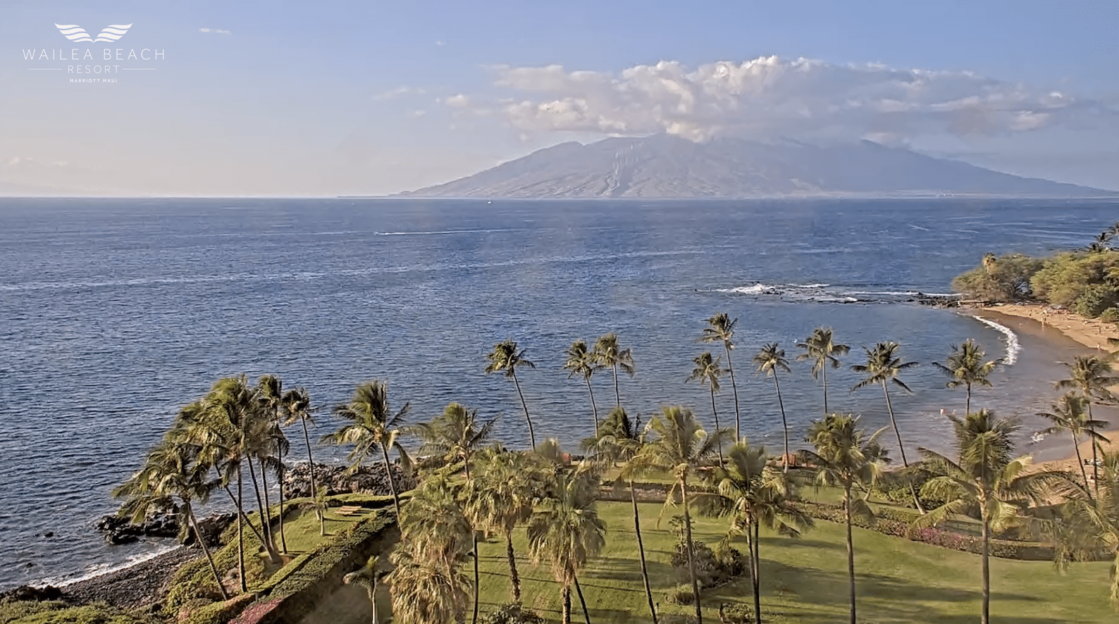 Ulua Beach Webcam - Maui Webcams - Auntie Snorkel