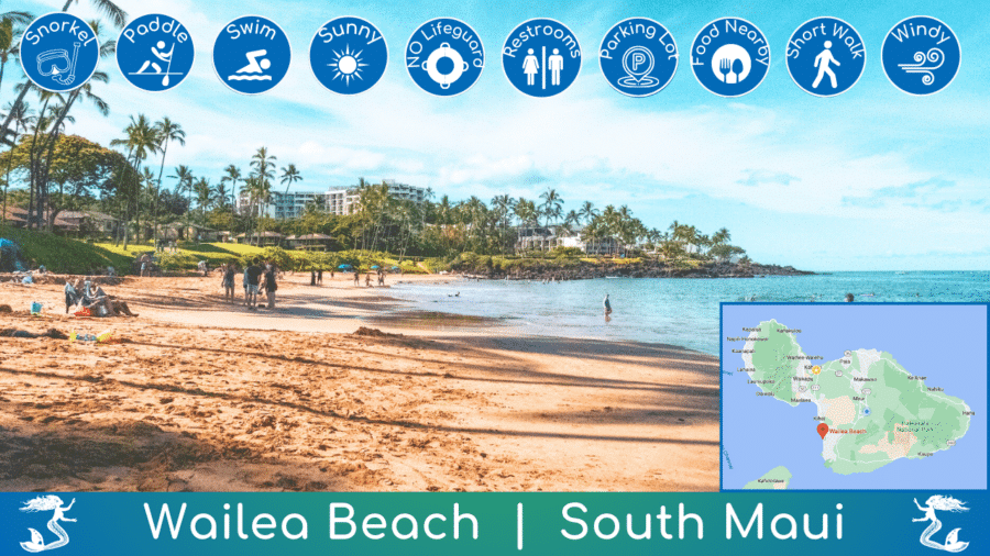 Wailea Beach Guide Overview