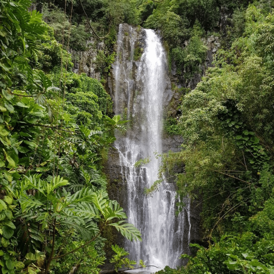 Waterfall-on-the-Road-to-Hana-Mahalo-Tours-Road-to-Hana-Van-Tour-Book-Maui-Activities-at-Auntie-Snorkel