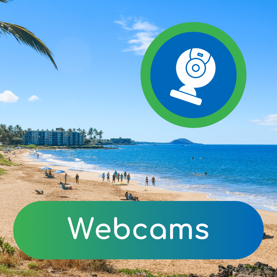 Webcams - Auntie Snorkel