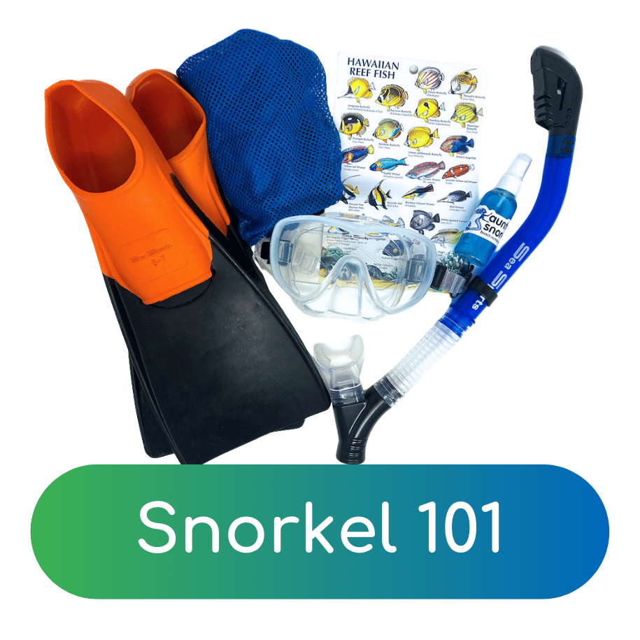 Snorkel 101 - Your Maui Snorkeling Guide