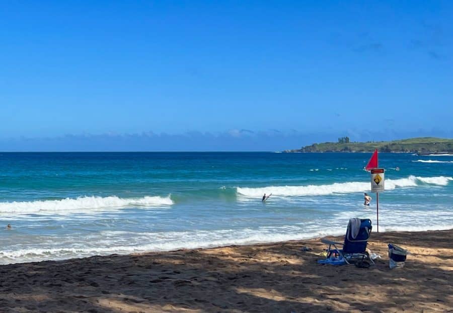 What to Bring to DT Fleming Beach Park - Rent Maui Beach Gear at Auntie Snorkel