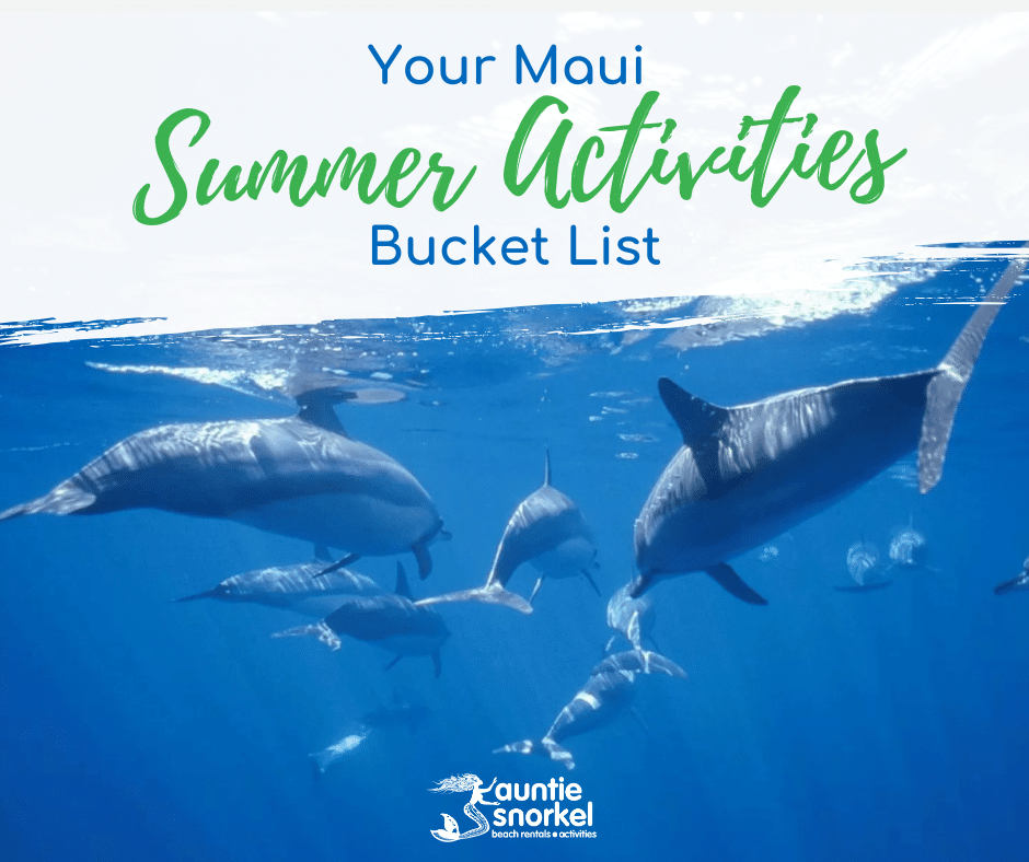 Your Maui Summer Activities Bucket List by Auntie Snorkel