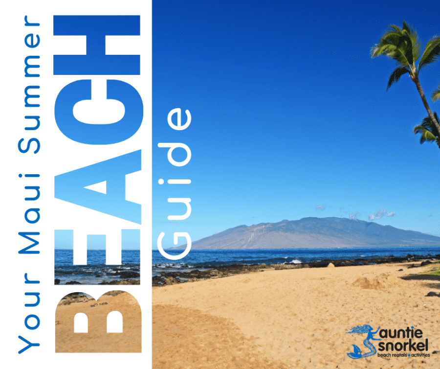 Your Maui Summer Beach Guide by Auntie Snorkel