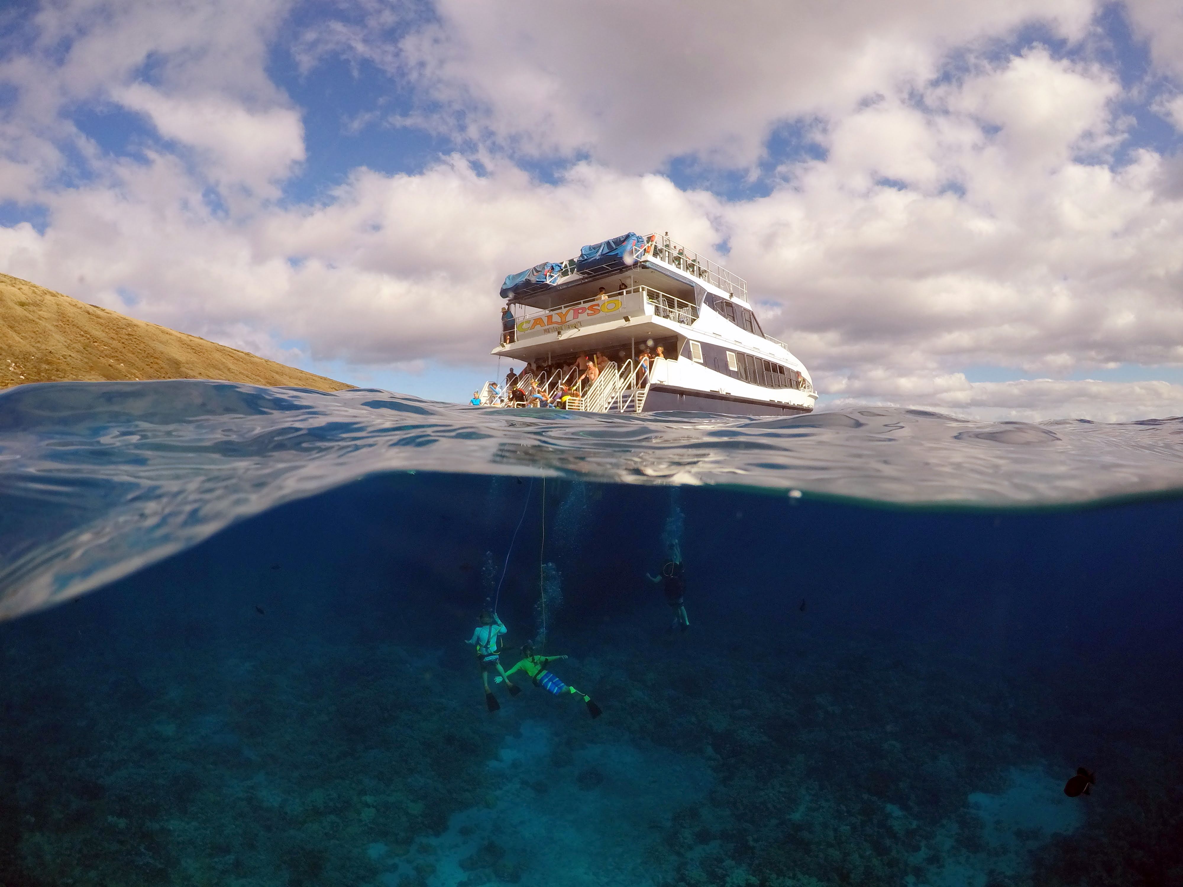 Molokini and Turtle Town (30 off) Auntie Snorkel