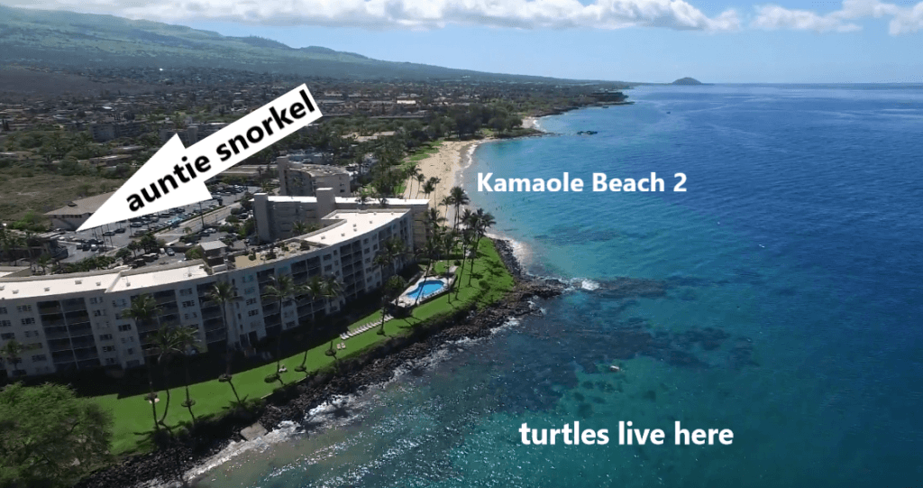 Maui Paddle Board Rentals in Kihei 50 Off! Auntie Snorkel