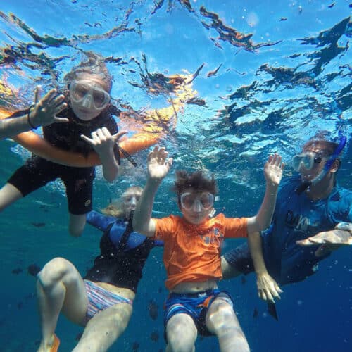 Snorkel Rentals Lahaina, Kaanapali & Kapalua Book For 50 Off!