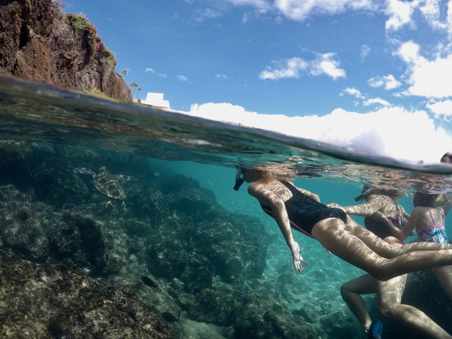 Snorkel Rentals Kihei & Wailea 50 Off + Free Fins! Auntie Snorkel