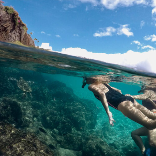 Snorkel Rentals Lahaina, Kaanapali & Kapalua Book For 50 Off!