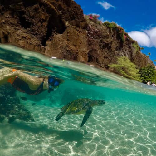 Snorkel Rentals Lahaina, Kaanapali & Kapalua Book For 50 Off!